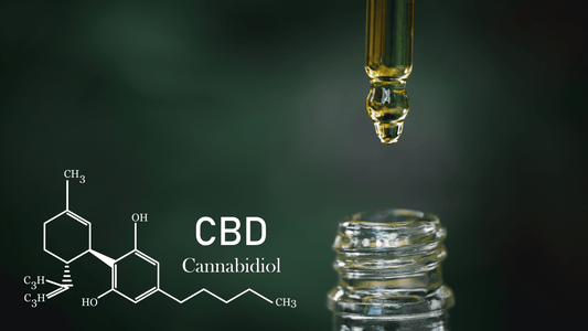 Huile de CBD : Le Nouvel Élixir du Bien-Être à la Pointe de l'Innovation - WALDOS LEGEND