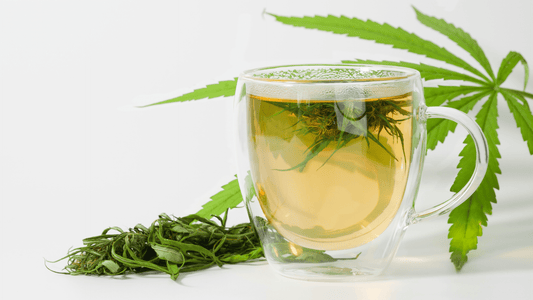 Le CBD Infusé en Tisane : Une Révolution Douce dans le Monde du Bien-Être - WALDOS LEGEND