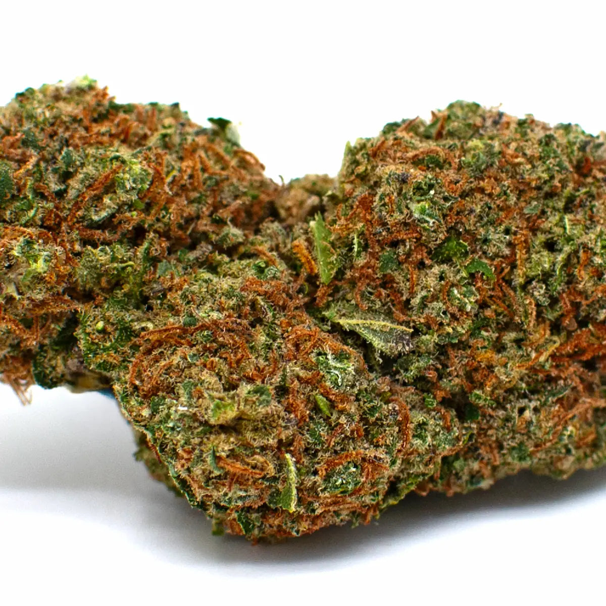 Photo zoomée de fleur Banana Punch CBD WALDOS LEGEND sur fond blanc.