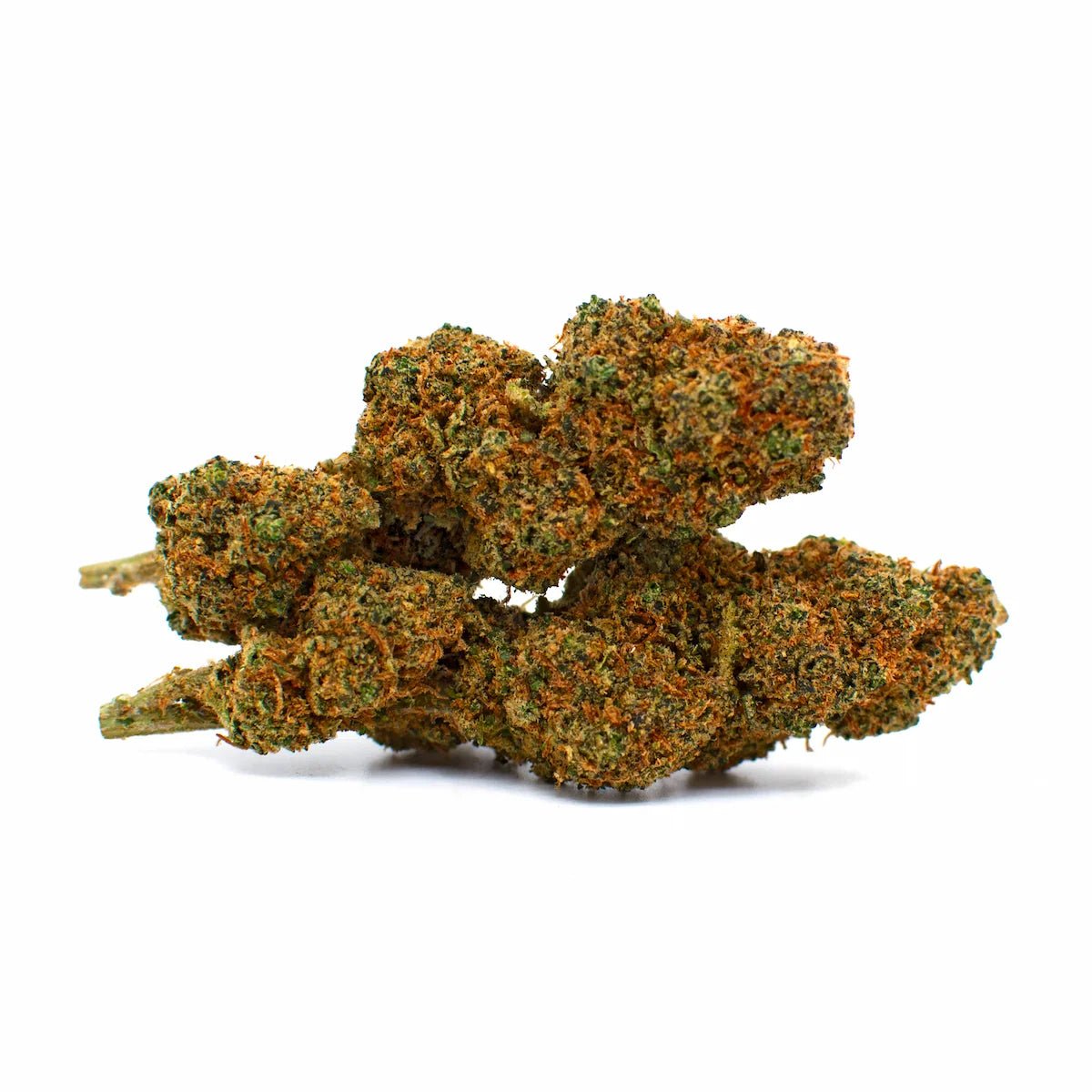 Photo fleur CBD blueberry OG