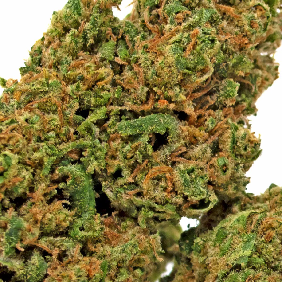 Critical CBD WALDOS LEGEND CLOSEUP