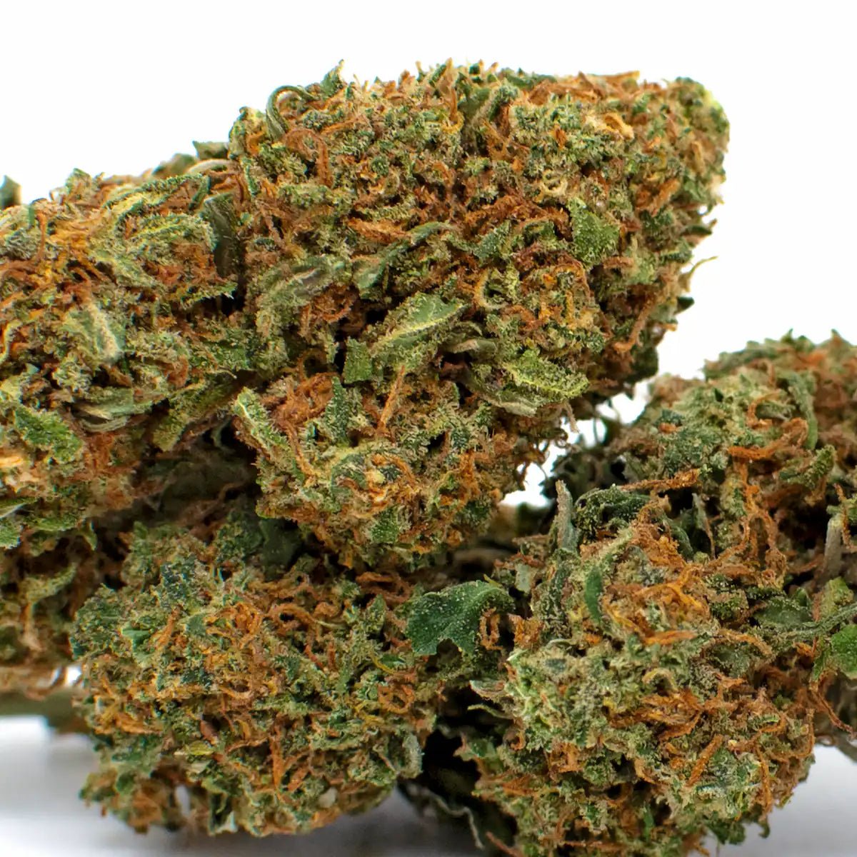 Photo-Fleur-CBD-Ginger-Zushi-2
