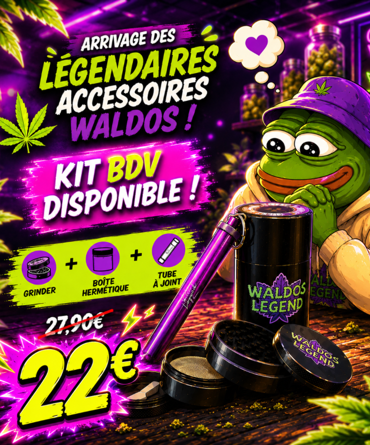 KIT FUMEUR (BDV) - WALDOS LEGEND - PACK WALDOS