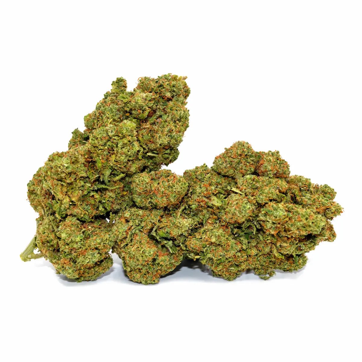 Lemon Gelato une variété exclusive WALDOS LEGEND