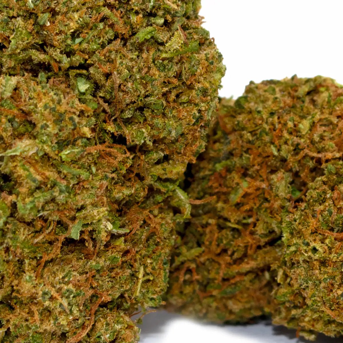 Sour Tangie CBD 🇺🇸 - WALDOS LEGEND - Fleur CBD Premium