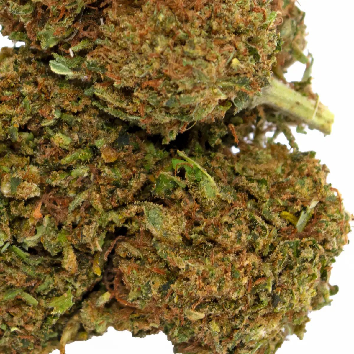 Strawberry Gelato CBD 🇺🇸 - WALDOS LEGEND - Fleur CBD Premium