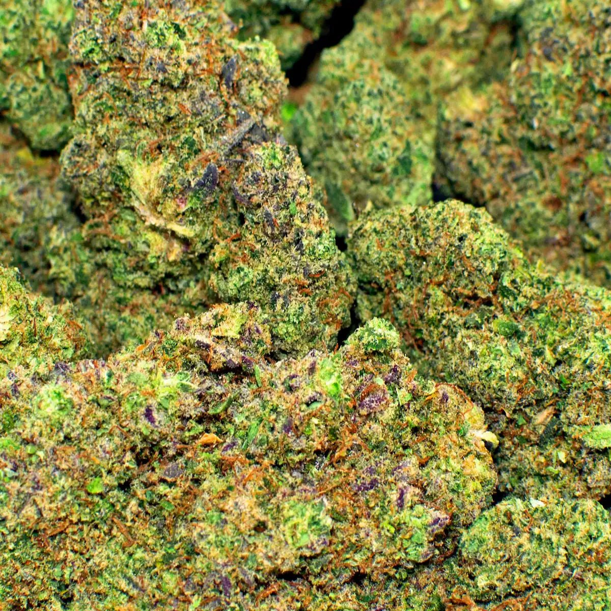 White Widow CBD - WALDOS LEGEND - Fleur CBD Premium