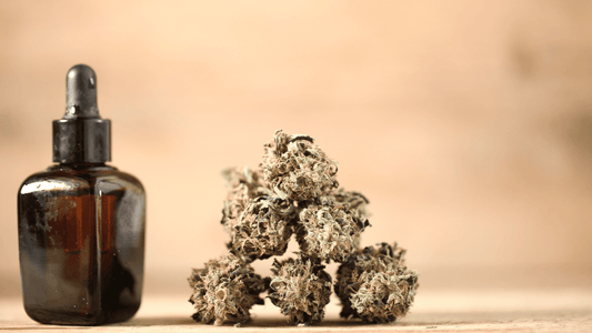 CBD et Concentration : le CBD améliore le focus ! - WALDOS LEGEND