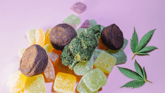 Les Gummies au CBD : la détente sans fumer - WALDOS LEGEND