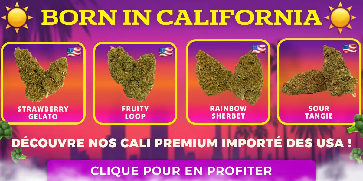 OFFRE IMPORT USA CALI CBD !