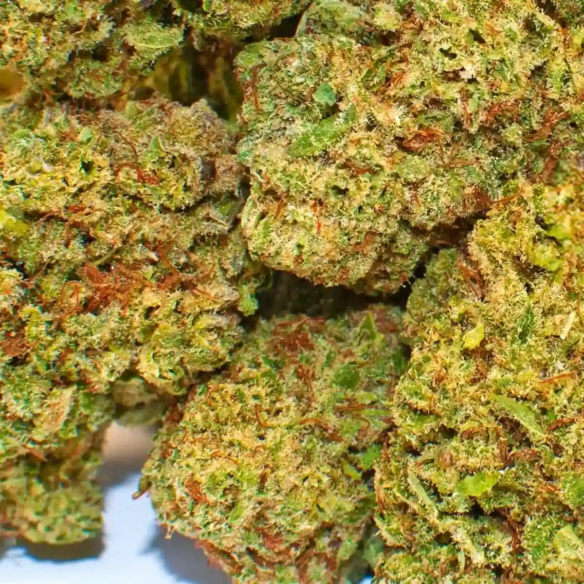 Mimosa Zoap CBD - WALDOS LEGEND