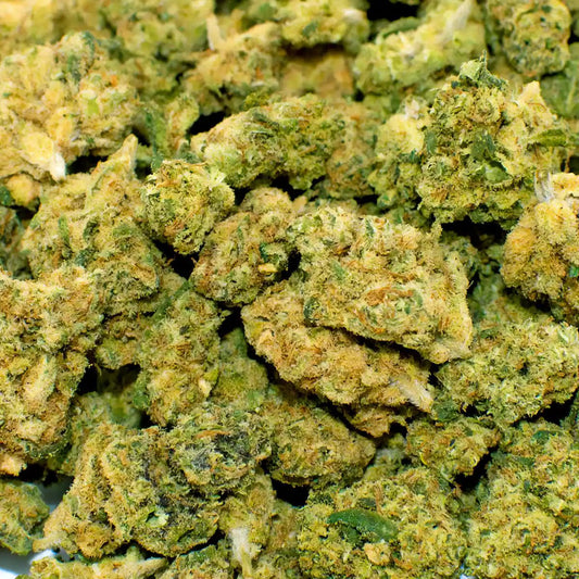 Amne Haze POPS Photo 1 (ZOOM)