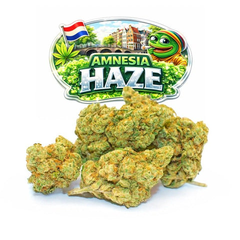 Amnesia Haze CBD - WALDOS LEGEND - Fleur CBD Premium