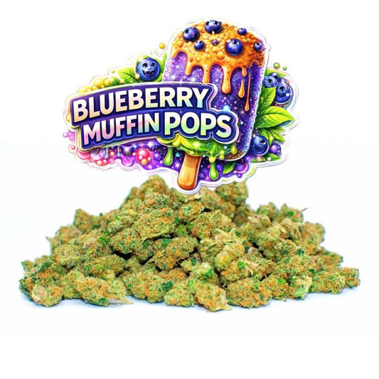 Blueberry Muffin CBD Small Buds - WALDOS LEGEND - Fleurs CBD Small Buds