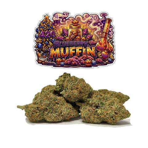 BLUEBERRY MUFFIN - WALDOS LEGEND - Fleur CBD Premium