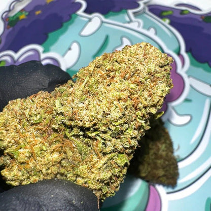 Cake Berry CBD 🇺🇸 - WALDOS LEGEND - Fleur CBD Premium