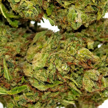 Le sucré acidulé de la candy kush WALDOS LEGEND ne vous laissera pas de marbre. 2