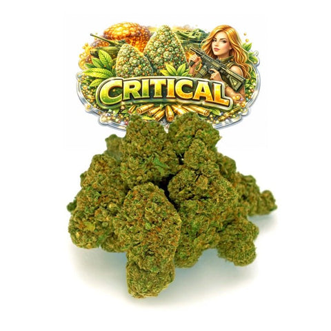Critical CBD - WALDOS LEGEND - Fleur CBD Premium