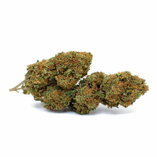 Photo-Fleur-CBD-Ginger-Zushi-1