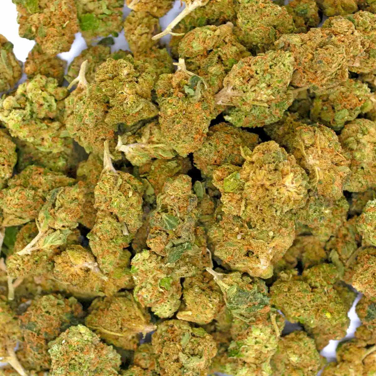 Photo de fleurs CBD Haze Mango Small Buds - WALDOS LEGEND