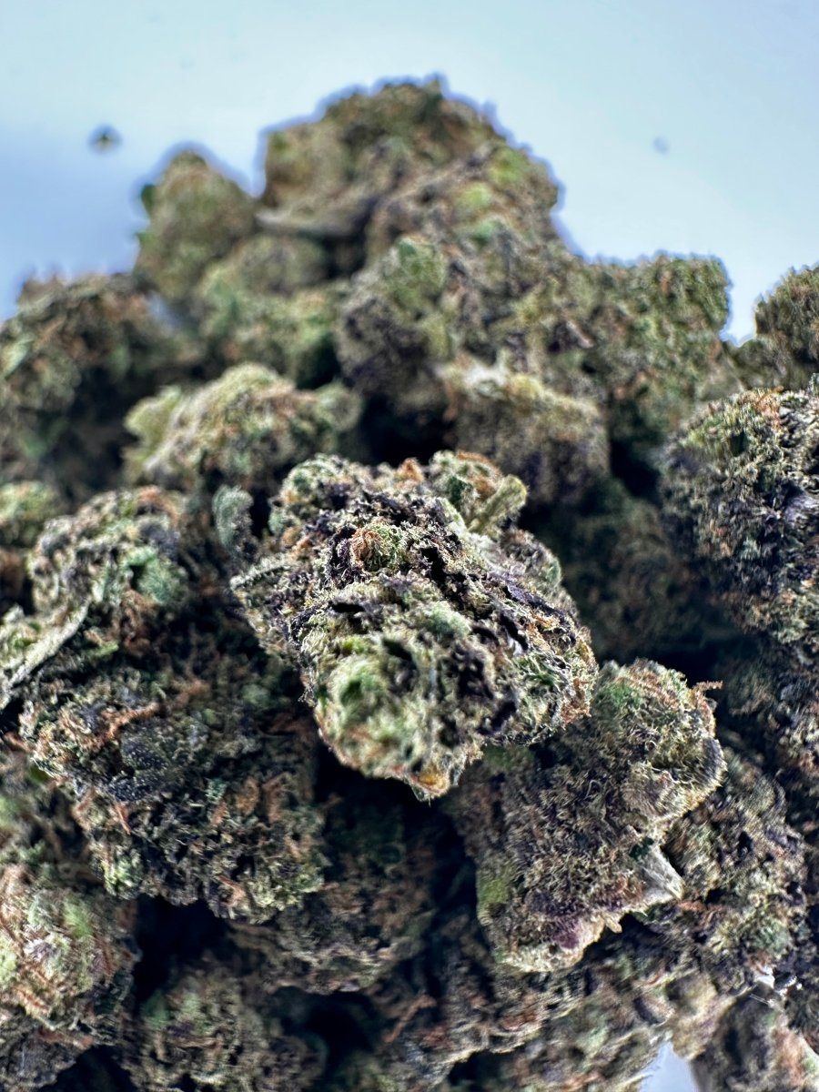 Haze Mango CBD Small Buds - WALDOS LEGEND - Fleurs CBD Small Buds