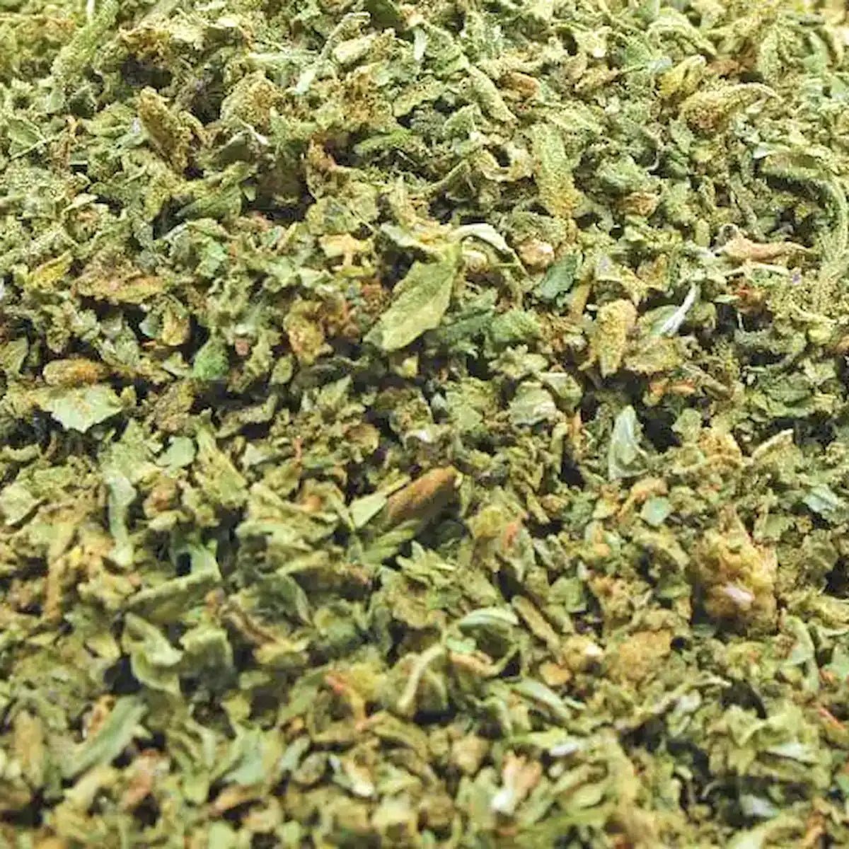 La Trim de Green Poison CBD - WALDOS LEGEND - Fleur CBD Outdoor