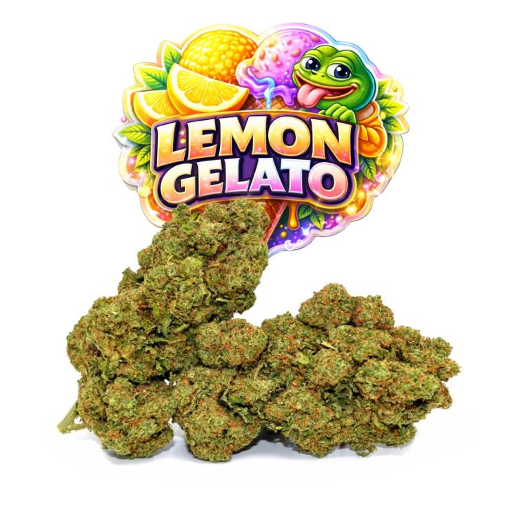 Lemon Gelato CBD - WALDOS LEGEND - Fleur CBD Premium