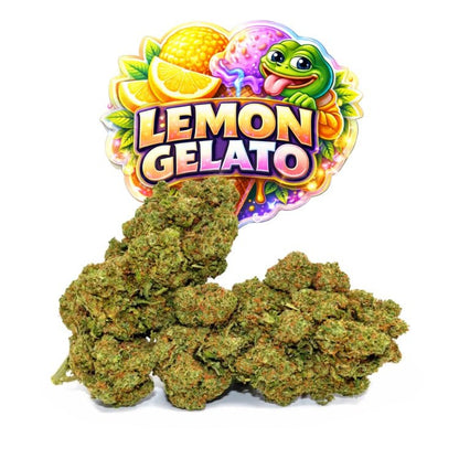 Lemon Gelato CBD - WALDOS LEGEND - Fleur CBD Premium