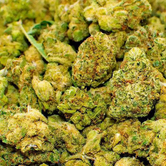Lemon Zesty Photo 1 (ZOOM)