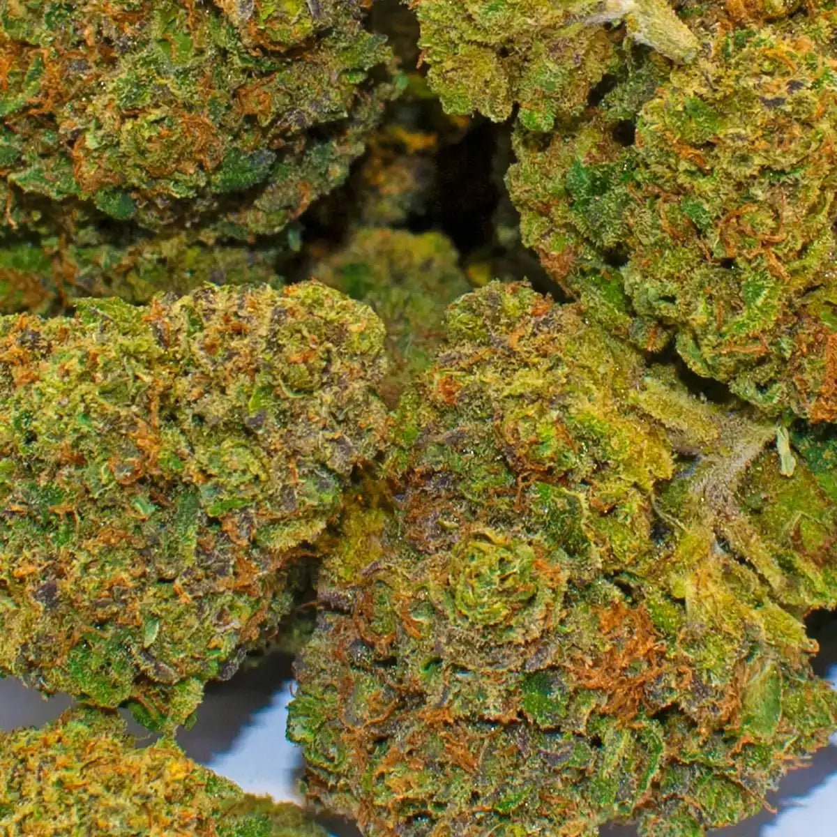 Mango Sorbet CBD - WALDOS LEGEND - Fleur CBD Premium