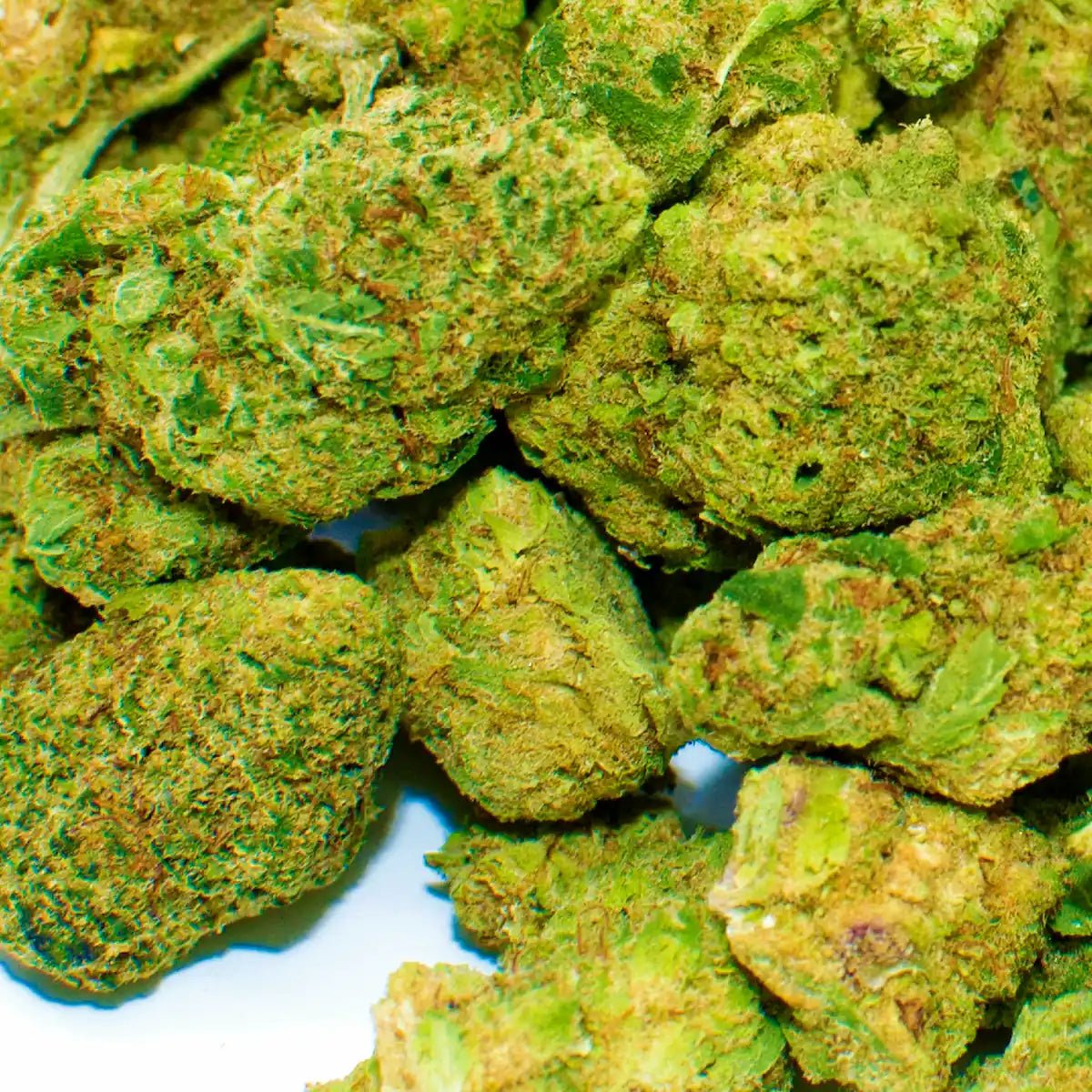 Plutonium CBD Small Buds - WALDOS LEGEND - Fleurs CBD Small Buds