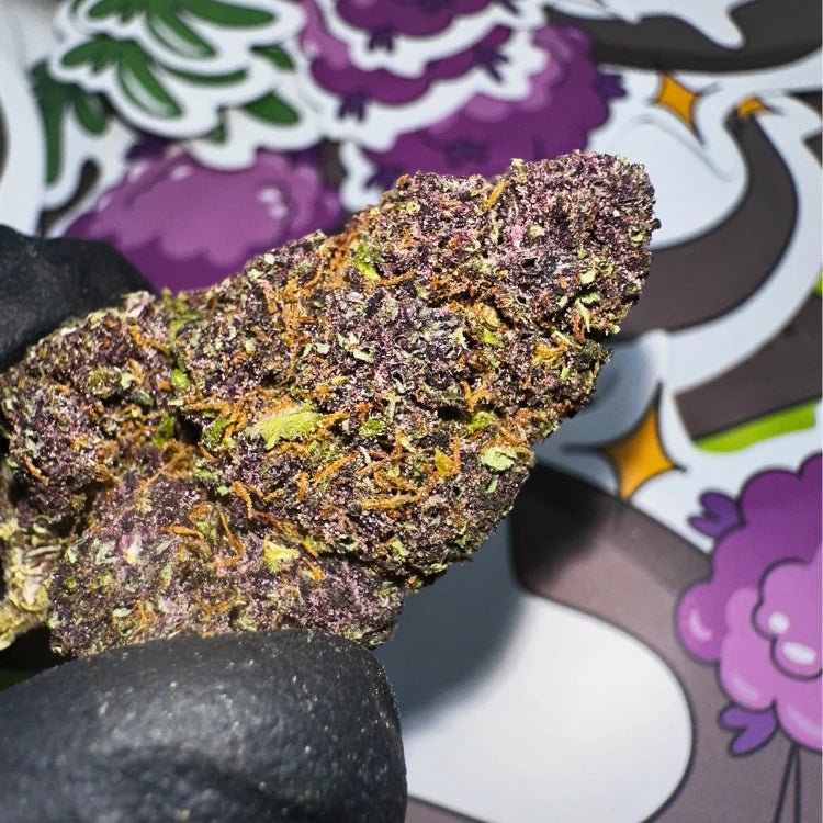 Purple OG CBD 🇺🇸 - WALDOS LEGEND - Fleur CBD Premium