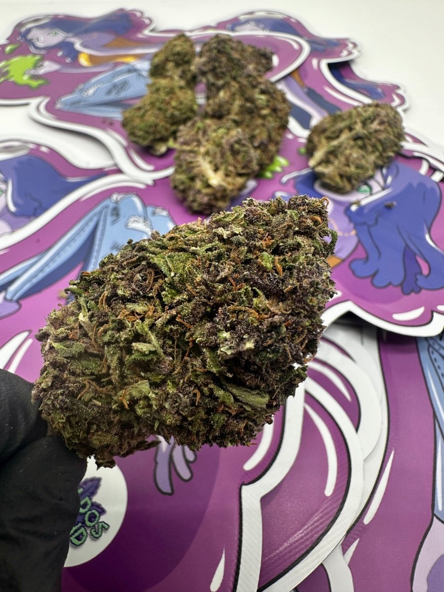 Purple OG CBD 🇺🇸 - WALDOS LEGEND - Fleur CBD Premium