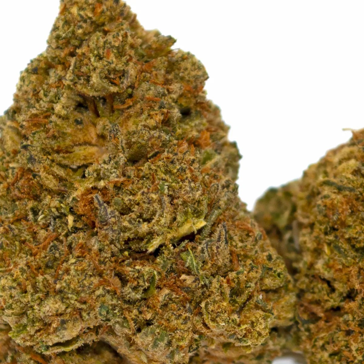 Sour Tangie CBD 🇺🇸 - WALDOS LEGEND - Fleur CBD Premium