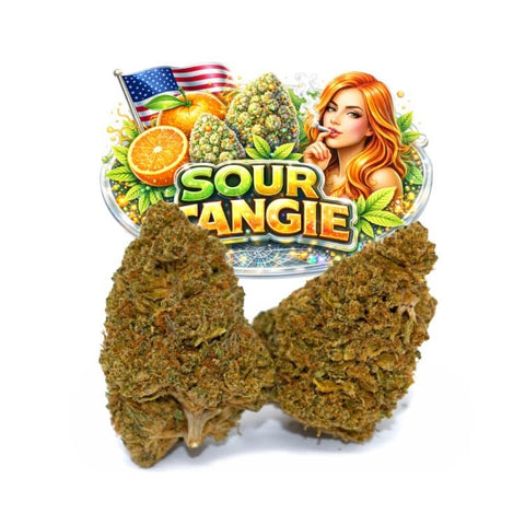 Sour Tangie CBD 🇺🇸 - WALDOS LEGEND - Fleur CBD Premium