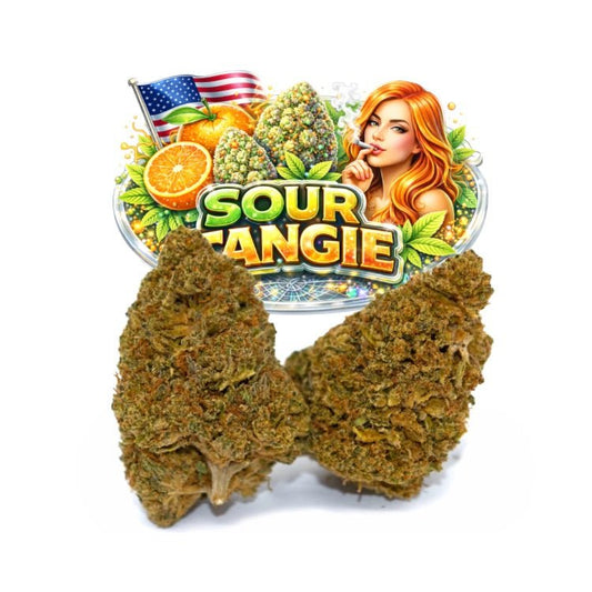 Sour Tangie CBD 🇺🇸 - WALDOS LEGEND - Fleur CBD Premium
