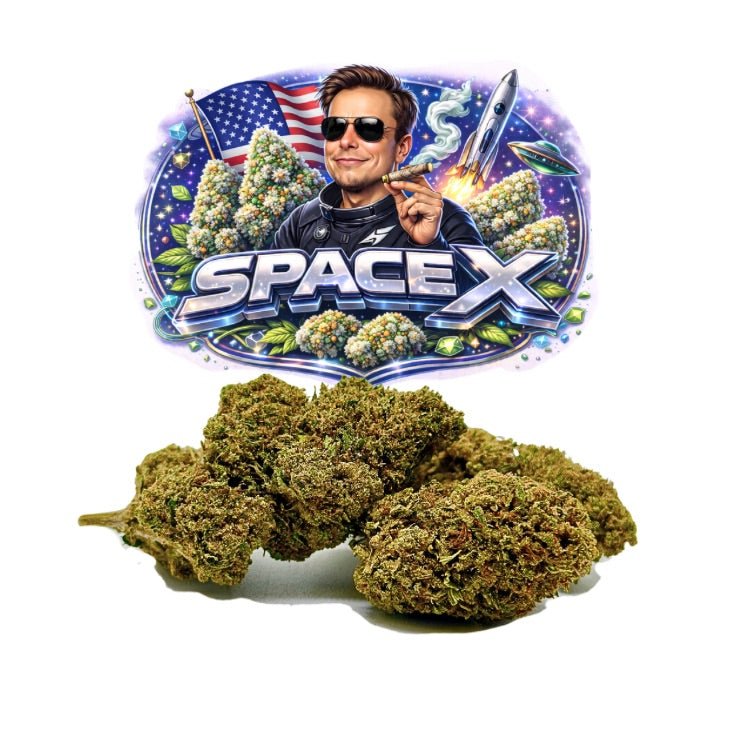 SPACE X CBD 🇺🇸 - WALDOS LEGEND - Fleur CBD Premium