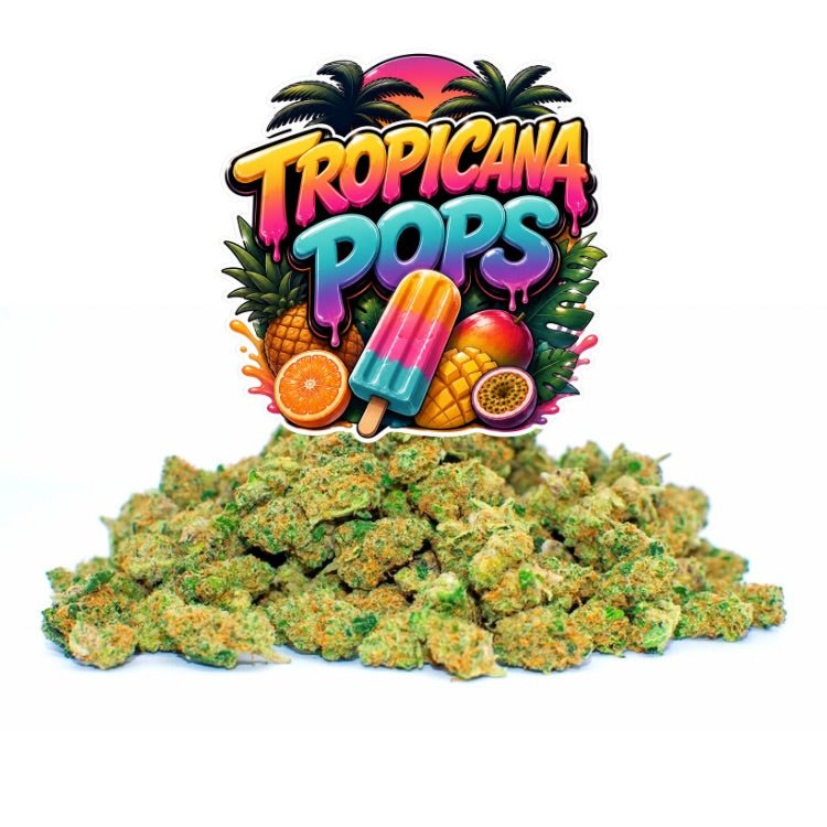 Tropicana Pops - WALDOS LEGEND - Fleurs CBD Small Buds