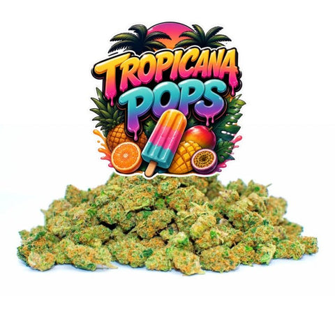 Tropicana Pops - WALDOS LEGEND - Fleurs CBD Small Buds