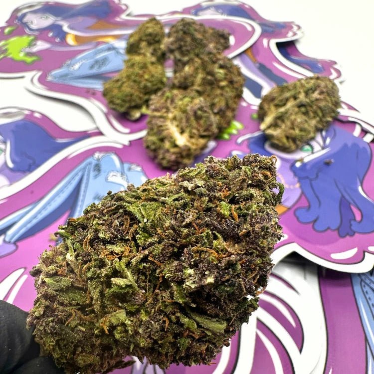 VVS Sapphire CBD 🇺🇸 - WALDOS LEGEND - Fleur CBD Premium