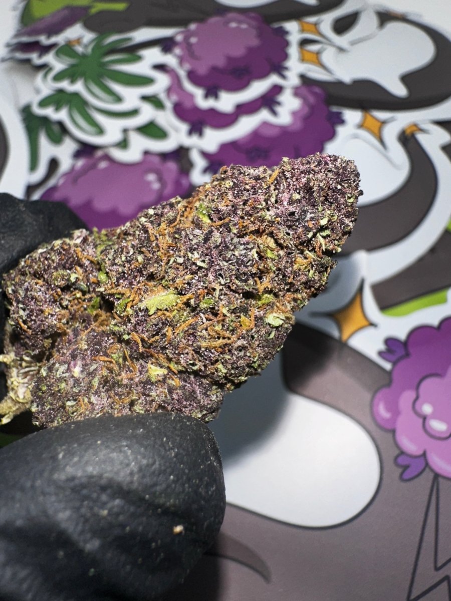 VVS Sapphire CBD 🇺🇸 - WALDOS LEGEND - Fleur CBD Premium