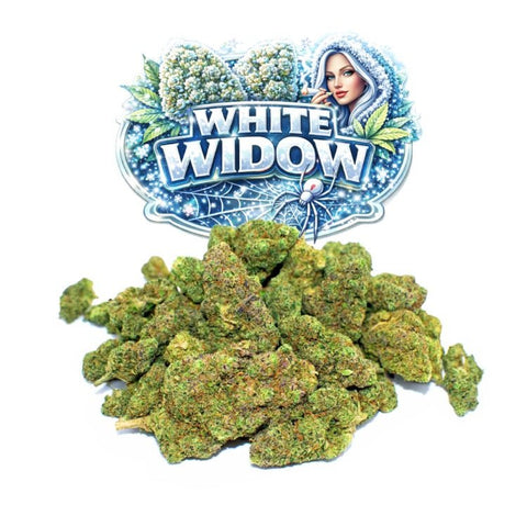 White Widow CBD - WALDOS LEGEND - Fleur CBD Premium