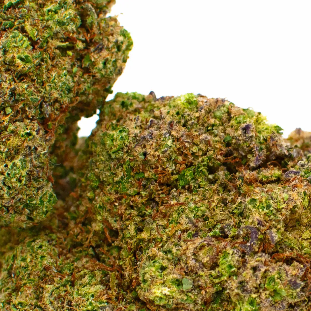 FLEUR PLUTO WW CBD - WALDOS LEGEND photo2